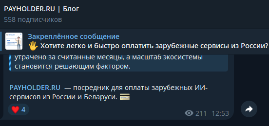 пей холдер пей холдер