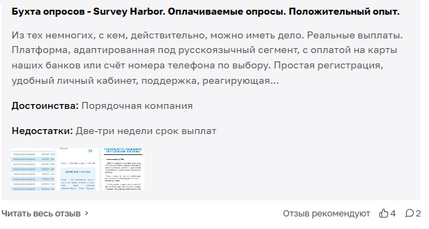 сурвей харбор отзывы сурвей харбор отзывы