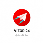 Vizor 24