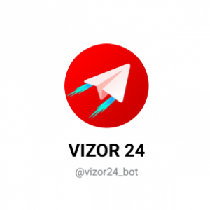 Vizor 24