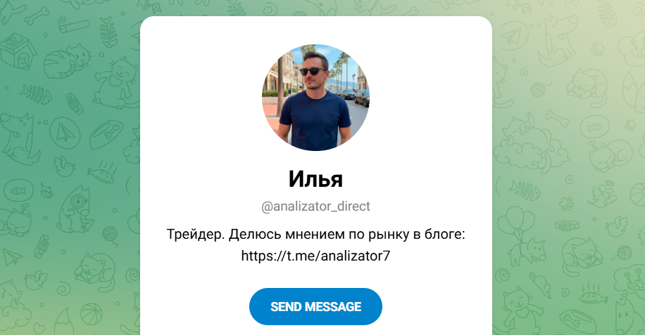 Анализатор Анализатор