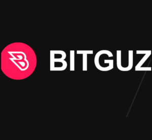 Bitguz