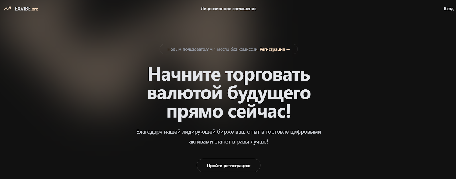 Exvibe Pro биржа отзывы Exvibe Pro биржа отзывы