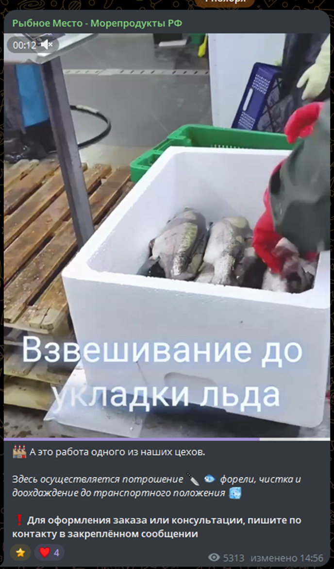 рыбное место морепродукты рф телеграмм рыбное место морепродукты рф телеграмм