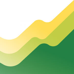 Свои Инвестиции