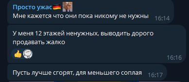 bitzoo викторина bitzoo викторина