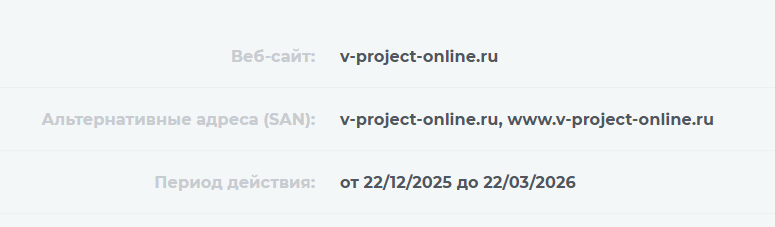v project v project