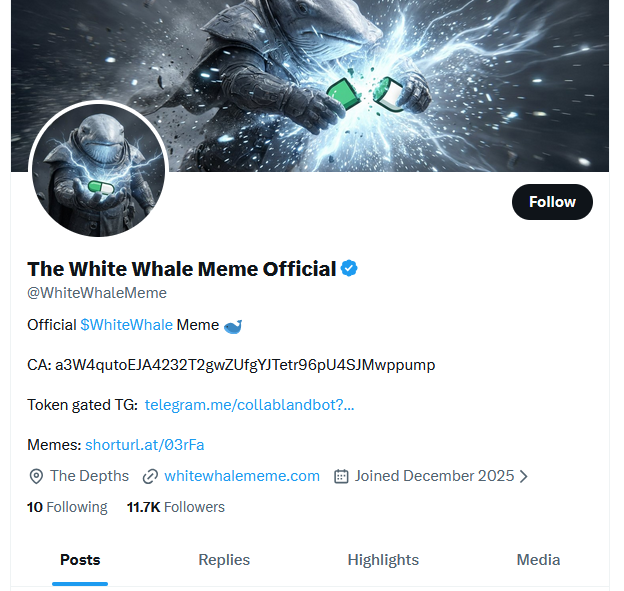 whitewhale usdt whitewhale usdt
