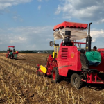 Агрочеснок Инвестиции