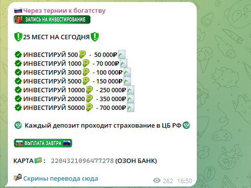 через тернии к богатству тг канал через тернии к богатству тг канал