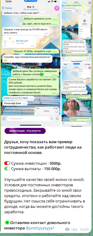 финансовый вектор инвестиции с умом тг финансовый вектор инвестиции с умом тг