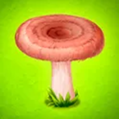 Грибники И Кланы