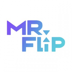 Mr Flip