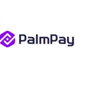 Palm Pay