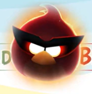 World Birds