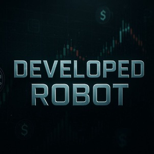Developed Robot
