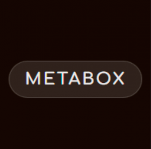 Meta Box