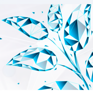Neuroinvest