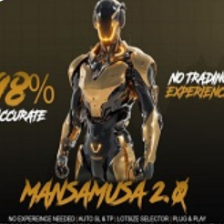 Mansa Musa Flipping Robot