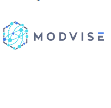 Modvise