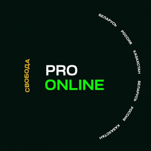 Pro Online Academy
