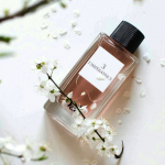 Ray Perfume Телеграмм