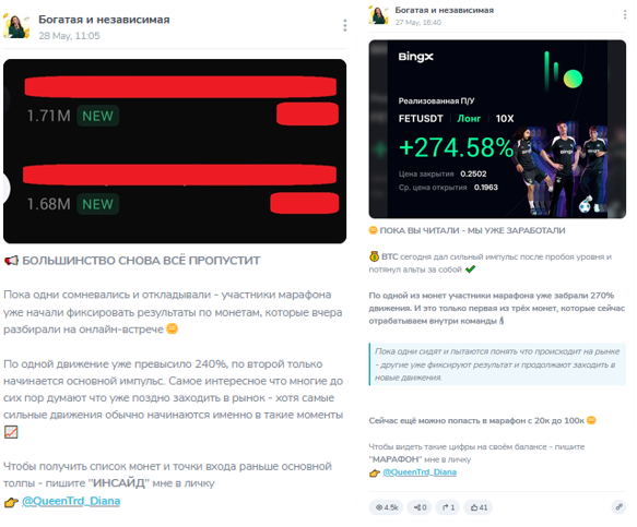dianatrd investor dianatrd investor