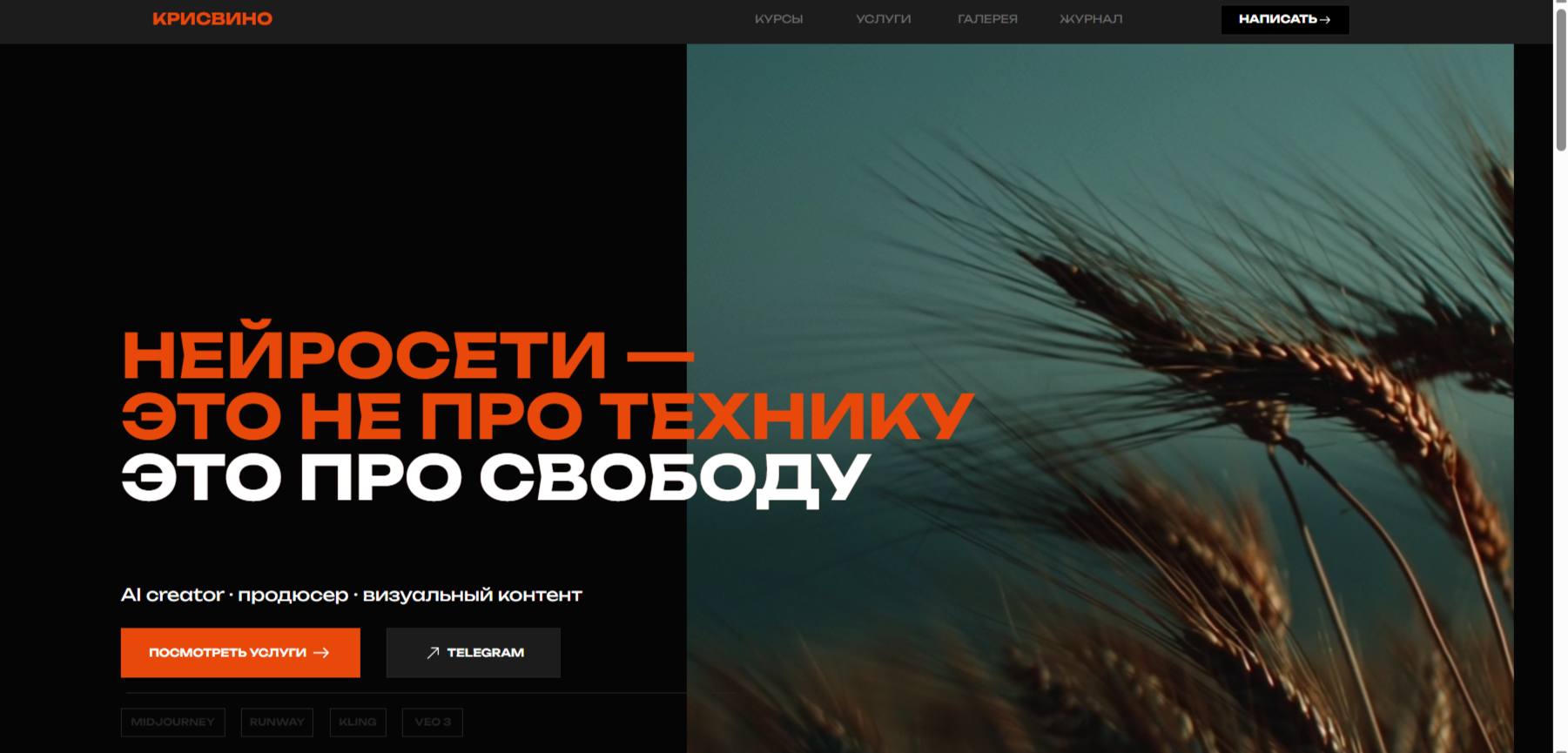 кристина винокурова нейрофотосессия курс отзывы кристина винокурова нейрофотосессия курс отзывы