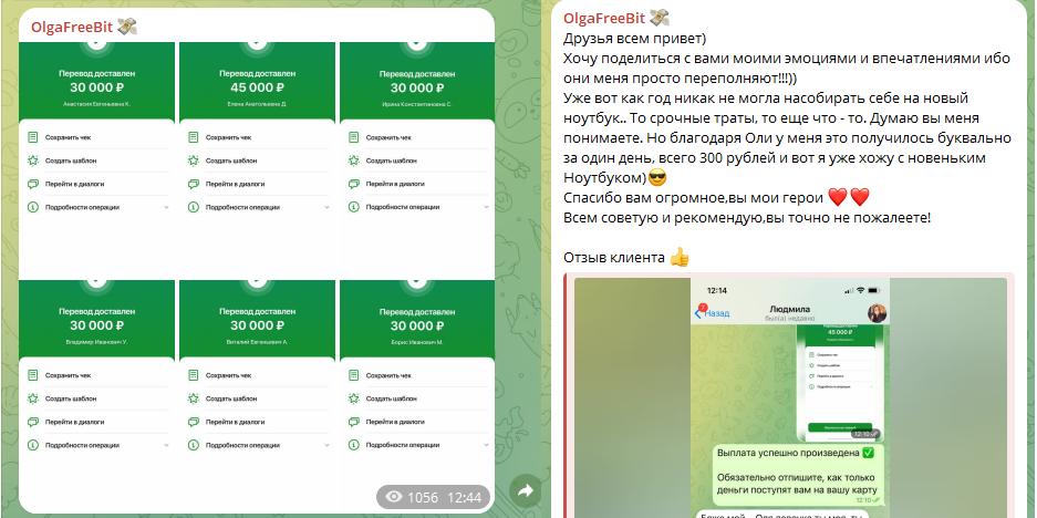 Olga Pro Money Olga Pro Money