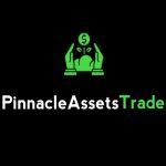 Pinnacle Investment Assets