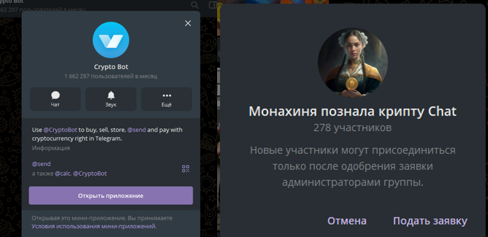 Криптомонахиня Криптомонахиня