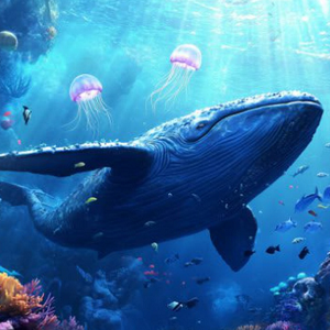 Tap Whale