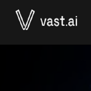 Vast ai