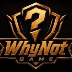 Why Not Game