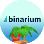 Binarium13