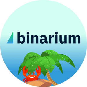 Binarium13
