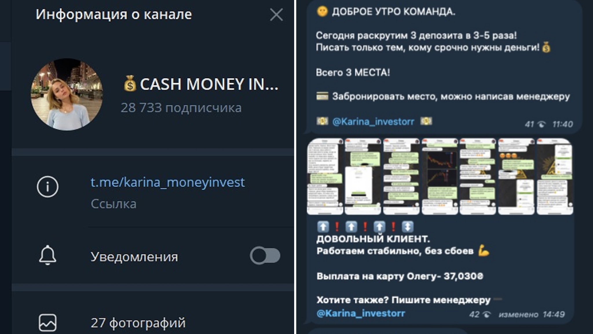 karina investments karina investments