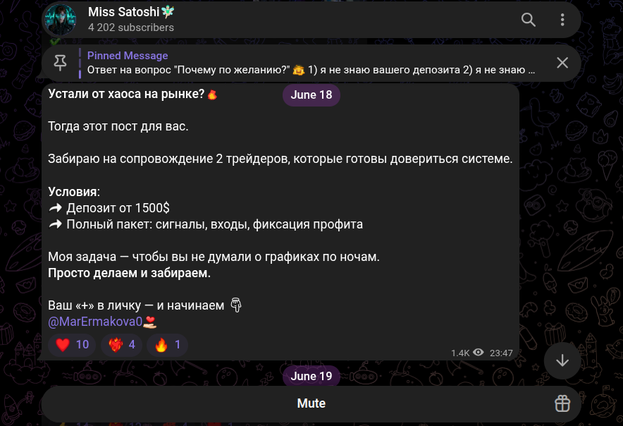 мисс сатоши мисс сатоши