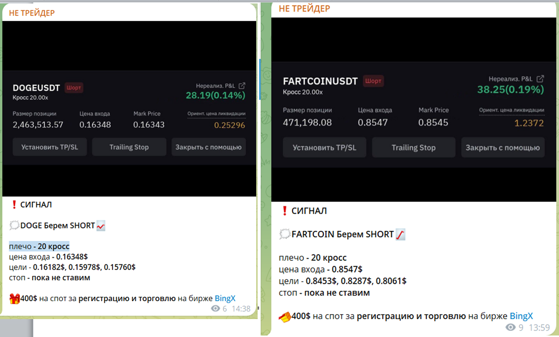Не Алексей Не Алексей