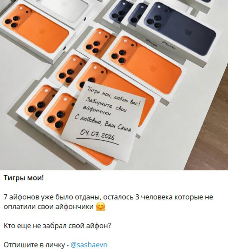 sashaevn sashaevn