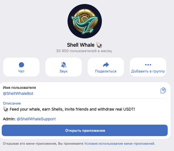 shell whale shell whale