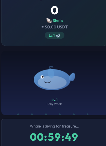 @ShellWhaleSupport @ShellWhaleSupport