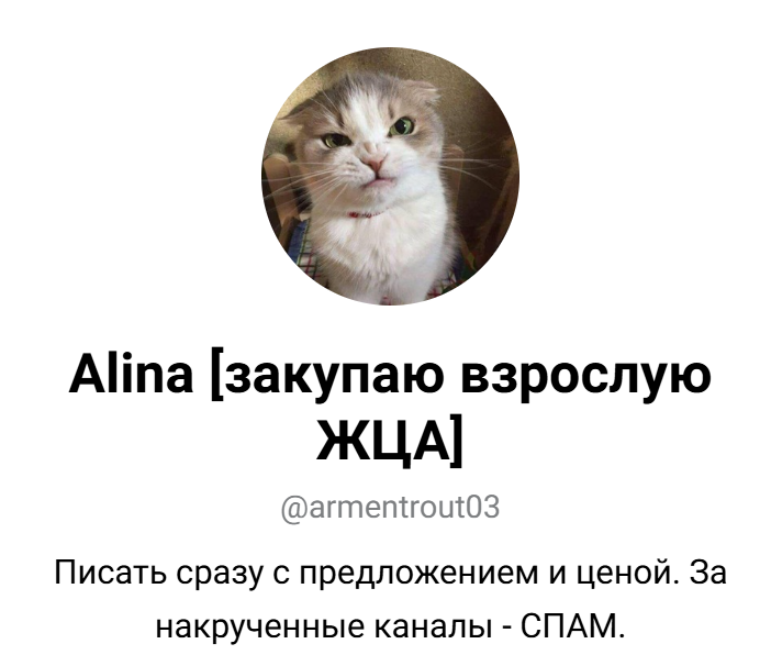 телеграмм канал телеграмм канал