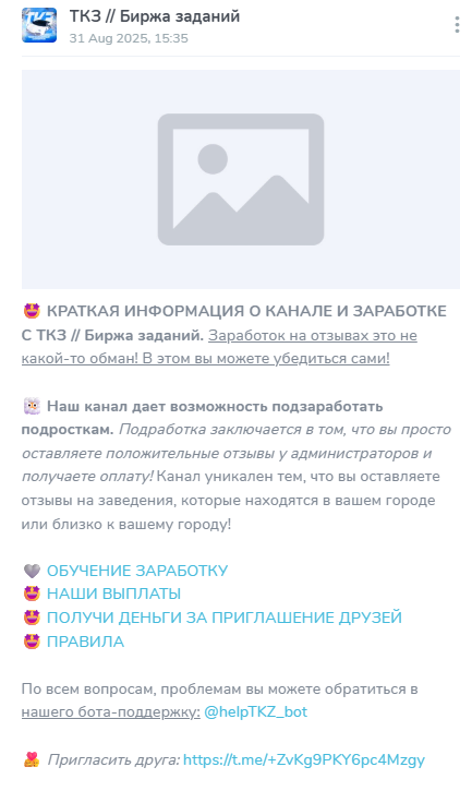 ткз твой карманный заработок ткз твой карманный заработок