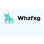 Whzfxg