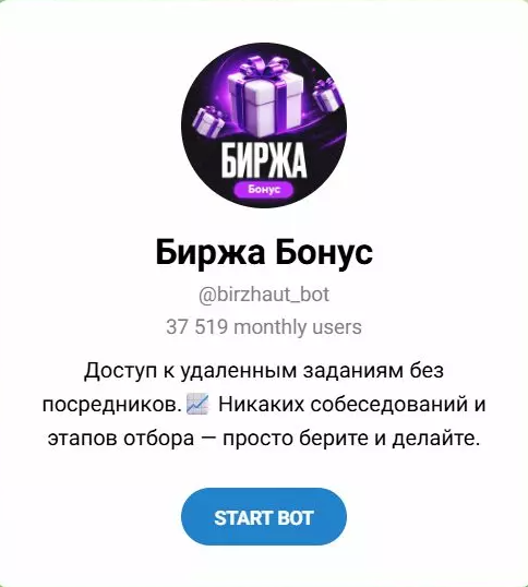 birzhout bot birzhout bot