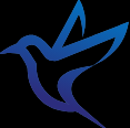 Bluebirdsrl