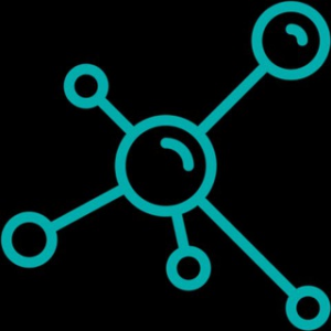 Collapse Interchain Network