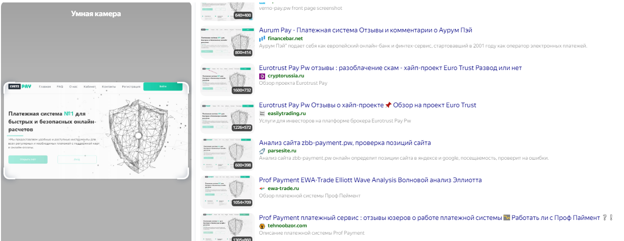 cveti pay cveti pay