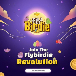 Flybirdie Airdrop